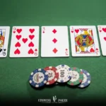 featured image 1200x800 no read 2.jpg